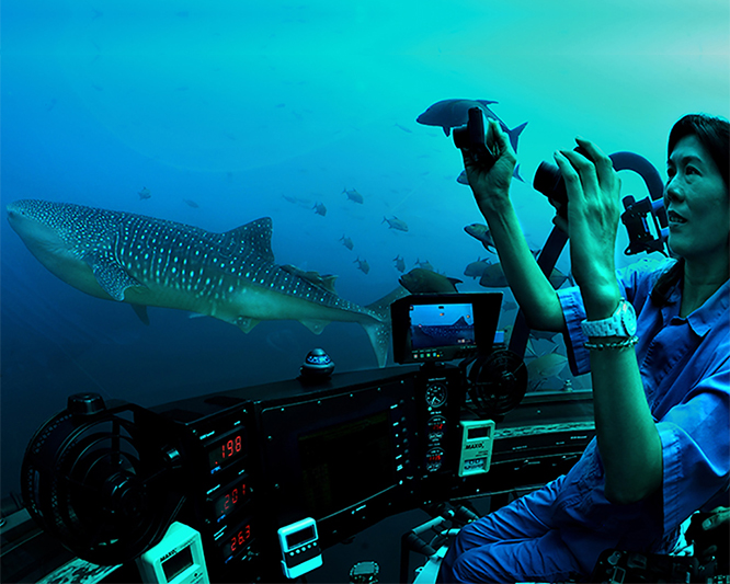 submarine passenger watching whale shark